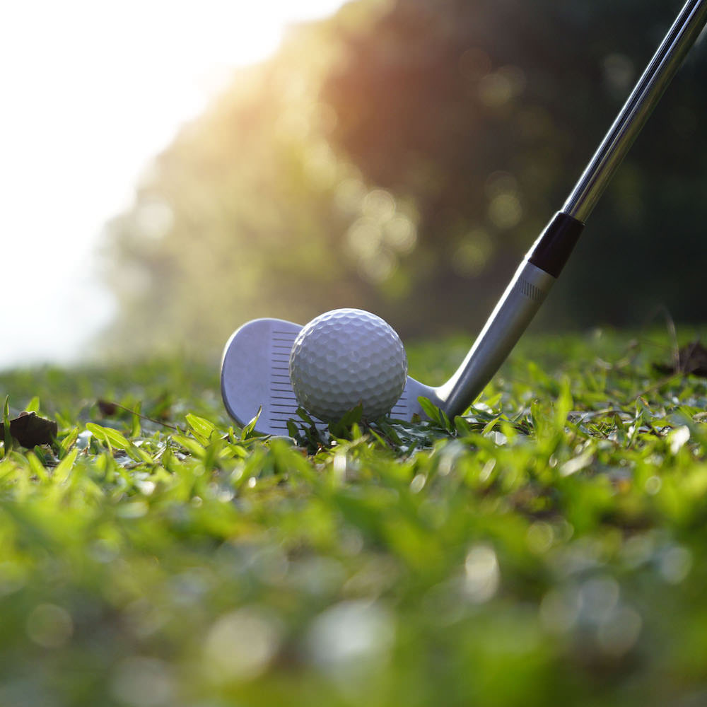 Donate to the 2025-26 Alder Girls Golf Program